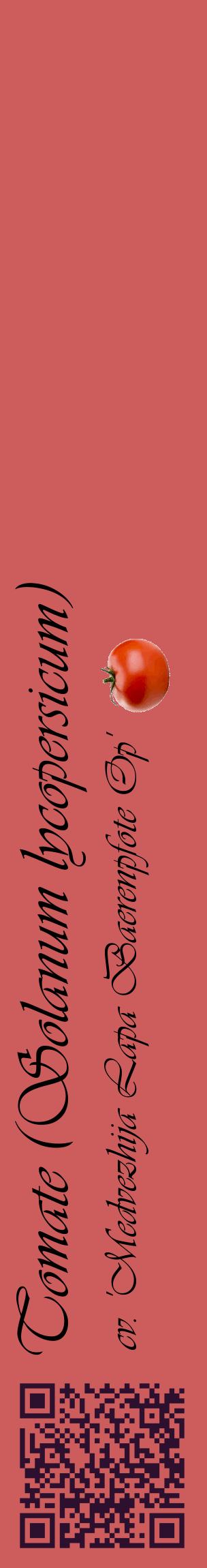Étiquette de : Solanum lycopersicum cv. 'Medvezhija Lapa Baerenpfote Op' - format c - style noire35_basiqueviv avec qrcode et comestibilité simplifiée