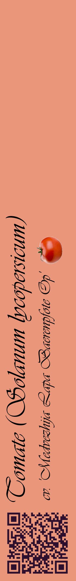 Étiquette de : Solanum lycopersicum cv. 'Medvezhija Lapa Baerenpfote Op' - format c - style noire37_basiqueviv avec qrcode et comestibilité simplifiée