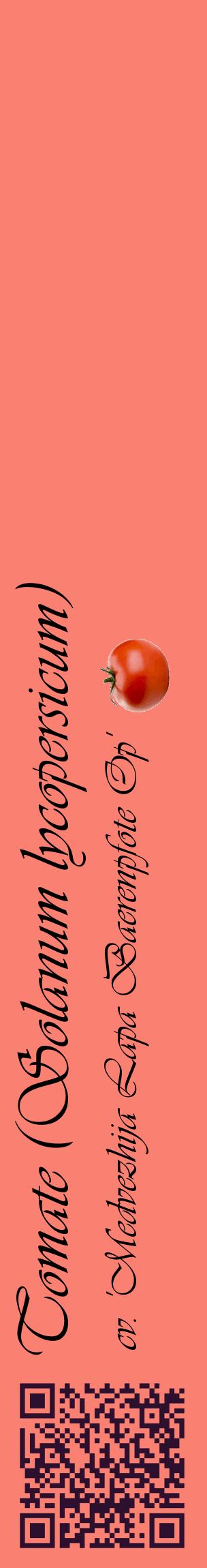 Étiquette de : Solanum lycopersicum cv. 'Medvezhija Lapa Baerenpfote Op' - format c - style noire38_basiqueviv avec qrcode et comestibilité simplifiée