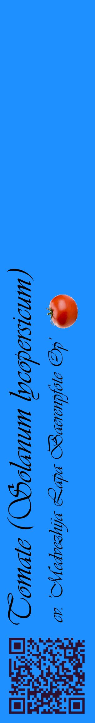 Étiquette de : Solanum lycopersicum cv. 'Medvezhija Lapa Baerenpfote Op' - format c - style noire3_basiqueviv avec qrcode et comestibilité simplifiée