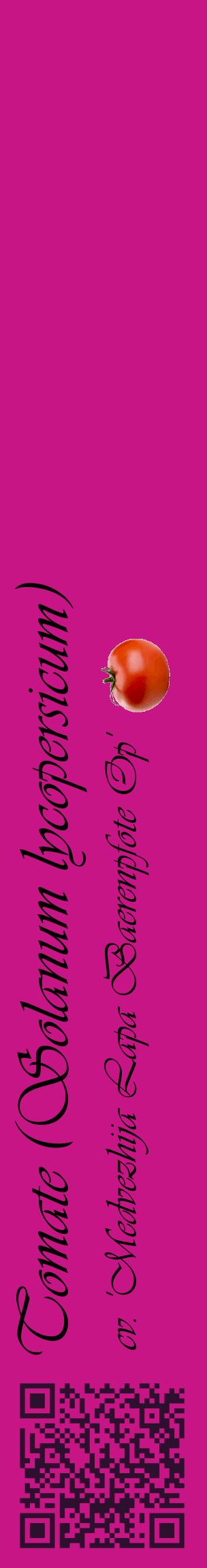Étiquette de : Solanum lycopersicum cv. 'Medvezhija Lapa Baerenpfote Op' - format c - style noire45_basiqueviv avec qrcode et comestibilité simplifiée