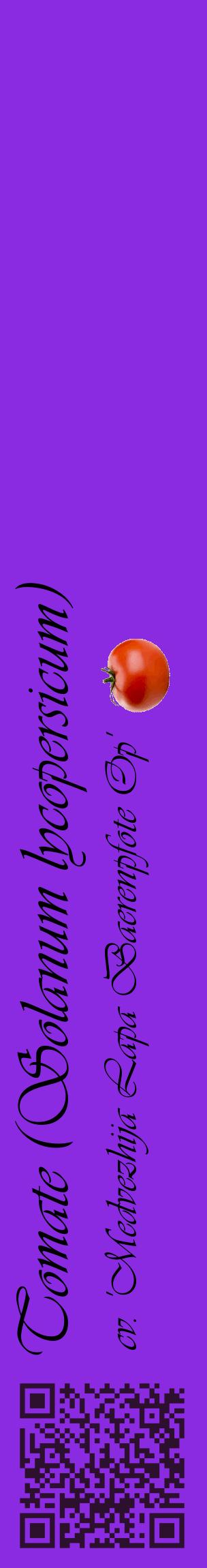 Étiquette de : Solanum lycopersicum cv. 'Medvezhija Lapa Baerenpfote Op' - format c - style noire49_basiqueviv avec qrcode et comestibilité simplifiée