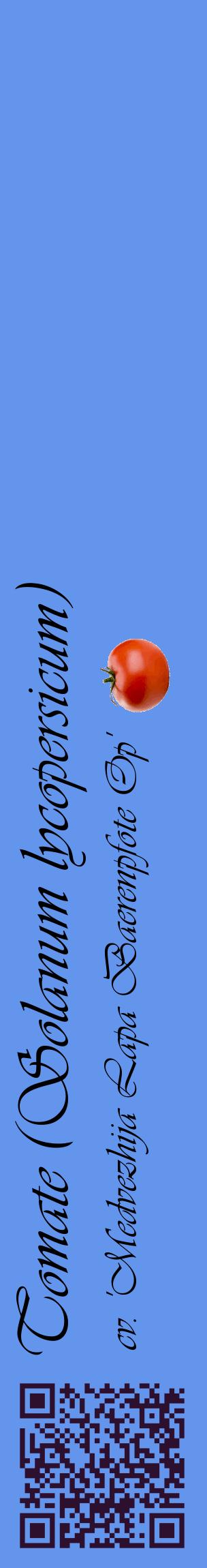 Étiquette de : Solanum lycopersicum cv. 'Medvezhija Lapa Baerenpfote Op' - format c - style noire4_basiqueviv avec qrcode et comestibilité simplifiée