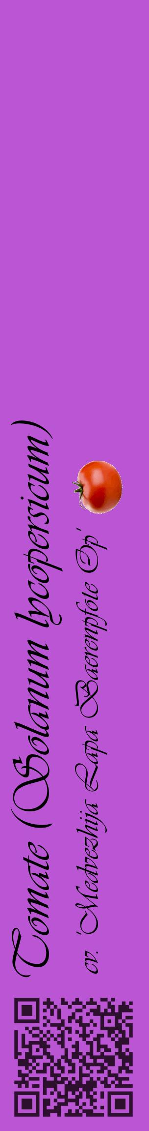 Étiquette de : Solanum lycopersicum cv. 'Medvezhija Lapa Baerenpfote Op' - format c - style noire50_basiqueviv avec qrcode et comestibilité simplifiée