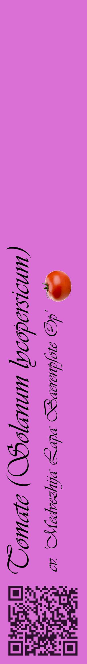 Étiquette de : Solanum lycopersicum cv. 'Medvezhija Lapa Baerenpfote Op' - format c - style noire52_basiqueviv avec qrcode et comestibilité simplifiée