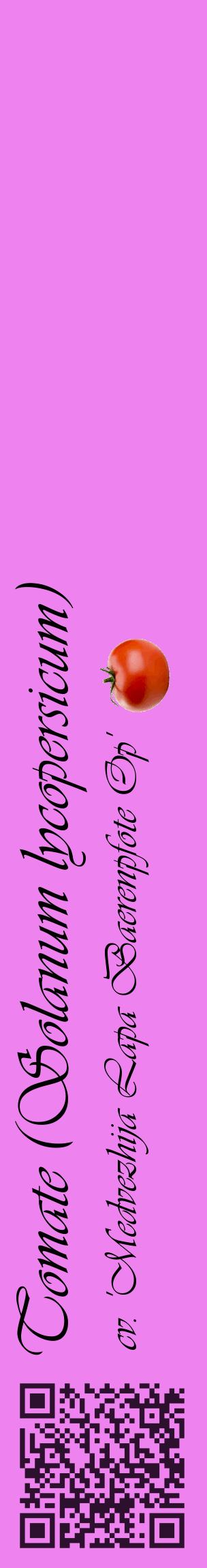 Étiquette de : Solanum lycopersicum cv. 'Medvezhija Lapa Baerenpfote Op' - format c - style noire53_basiqueviv avec qrcode et comestibilité simplifiée