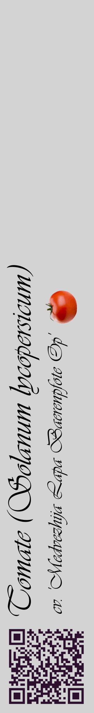 Étiquette de : Solanum lycopersicum cv. 'Medvezhija Lapa Baerenpfote Op' - format c - style noire56_basiqueviv avec qrcode et comestibilité simplifiée