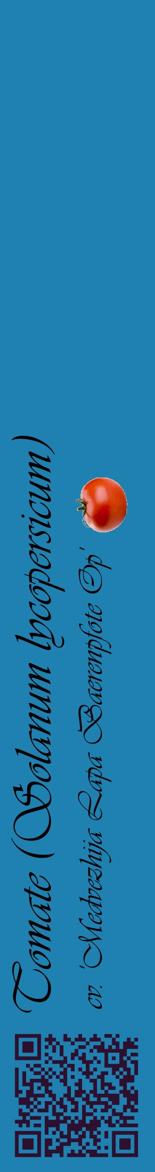 Étiquette de : Solanum lycopersicum cv. 'Medvezhija Lapa Baerenpfote Op' - format c - style noire6_basiqueviv avec qrcode et comestibilité simplifiée