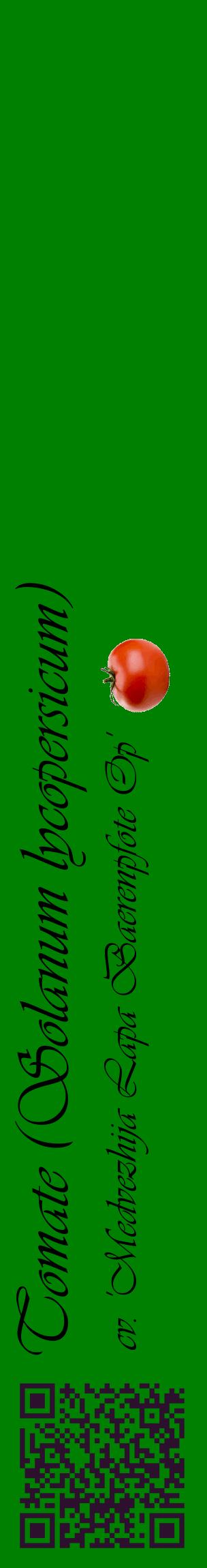 Étiquette de : Solanum lycopersicum cv. 'Medvezhija Lapa Baerenpfote Op' - format c - style noire9_basiqueviv avec qrcode et comestibilité simplifiée