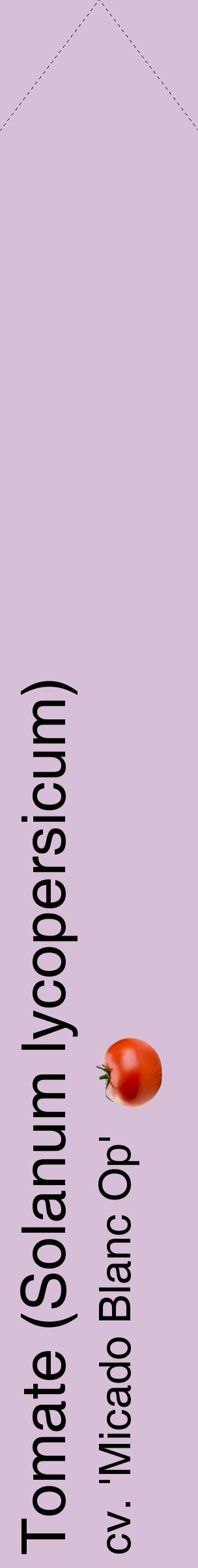 Étiquette de : Solanum lycopersicum cv. 'Micado Blanc Op' - format c - style noire54_simplehel avec comestibilité simplifiée
