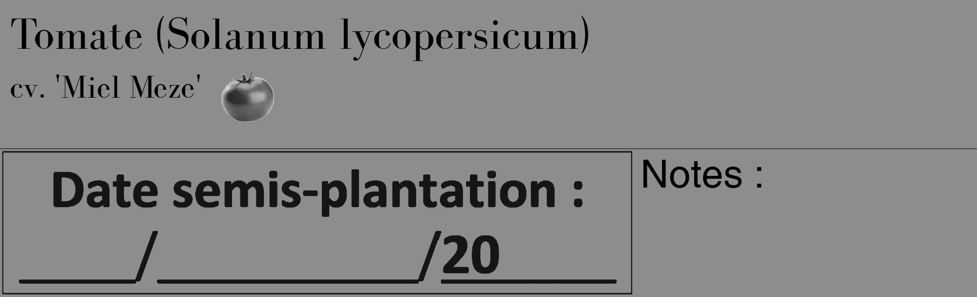 Étiquette de : Solanum lycopersicum cv. 'Miel Meze' - format c - style noire2basique_basique_basiquebod avec comestibilité simplifiée