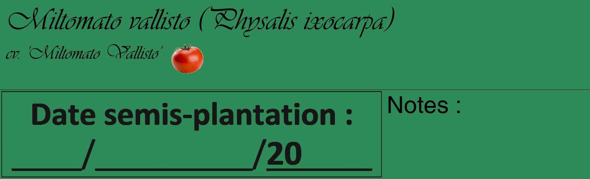 Étiquette de : Physalis ixocarpa cv. 'Miltomato Vallisto' - format c - style noire11_basique_basiqueviv avec comestibilité simplifiée