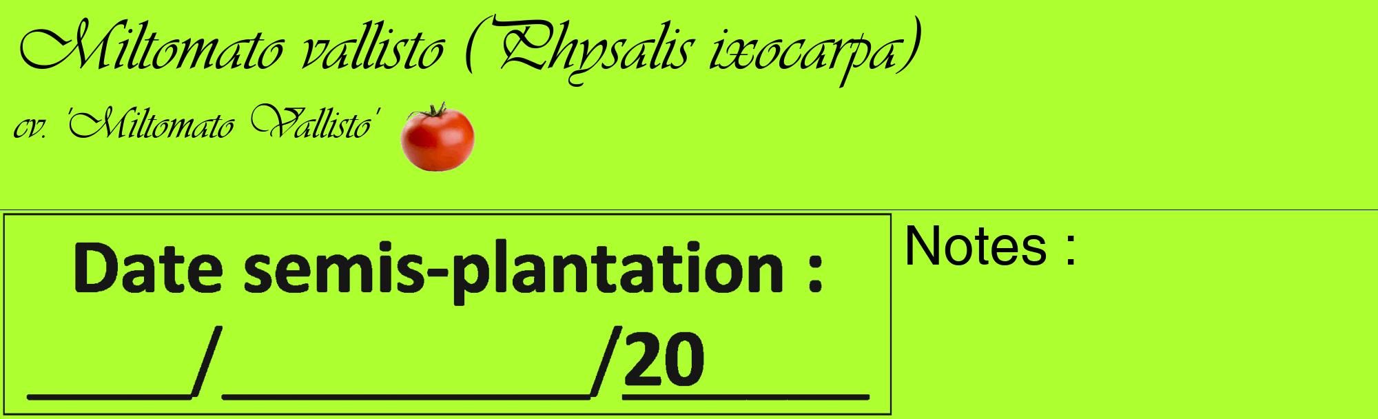 Étiquette de : Physalis ixocarpa cv. 'Miltomato Vallisto' - format c - style noire17_basique_basiqueviv avec comestibilité simplifiée