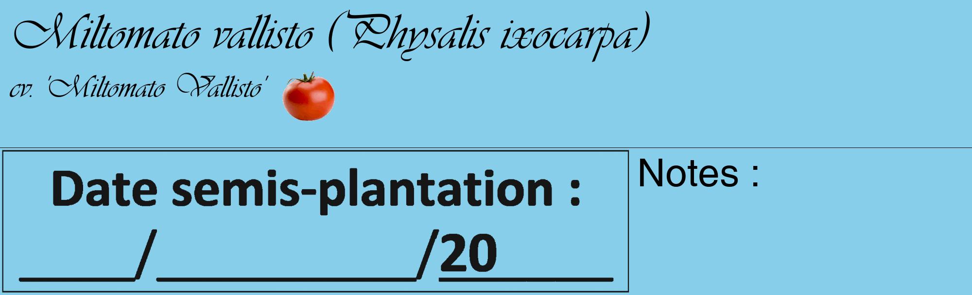 Étiquette de : Physalis ixocarpa cv. 'Miltomato Vallisto' - format c - style noire1_basique_basiqueviv avec comestibilité simplifiée