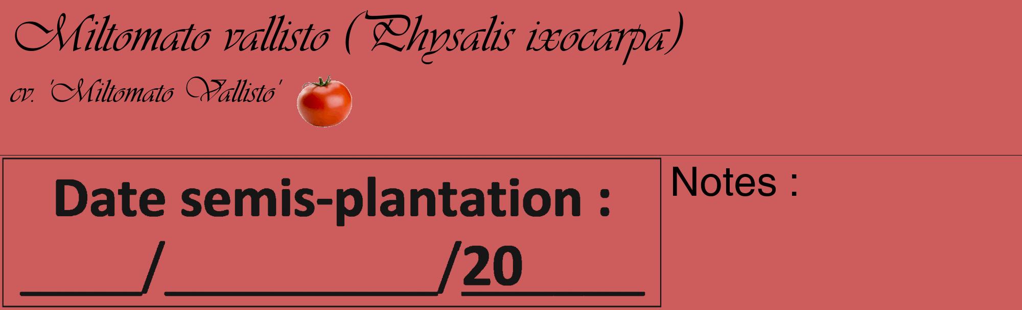 Étiquette de : Physalis ixocarpa cv. 'Miltomato Vallisto' - format c - style noire35_basique_basiqueviv avec comestibilité simplifiée