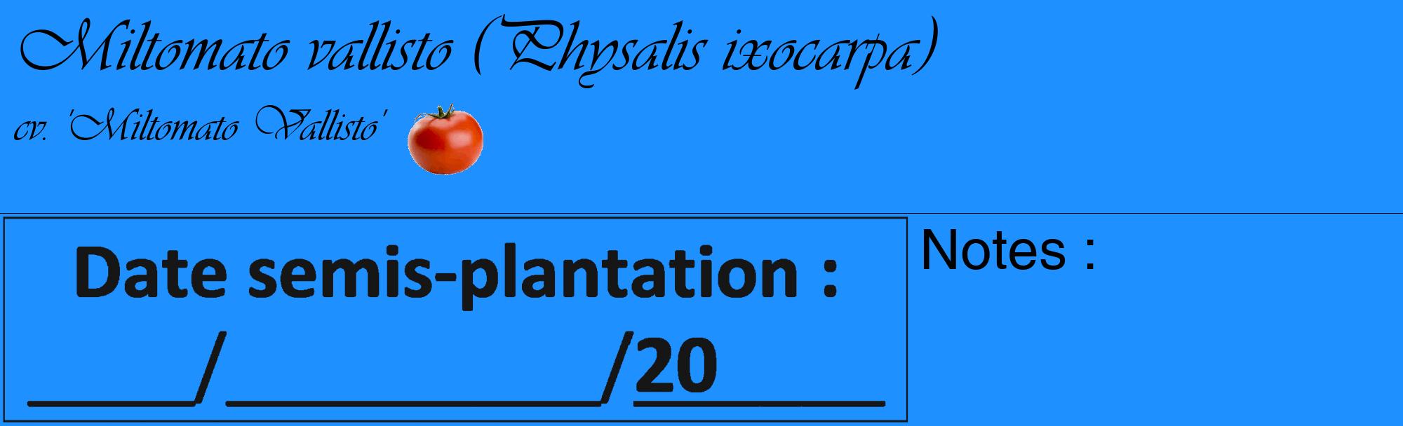 Étiquette de : Physalis ixocarpa cv. 'Miltomato Vallisto' - format c - style noire3_basique_basiqueviv avec comestibilité simplifiée