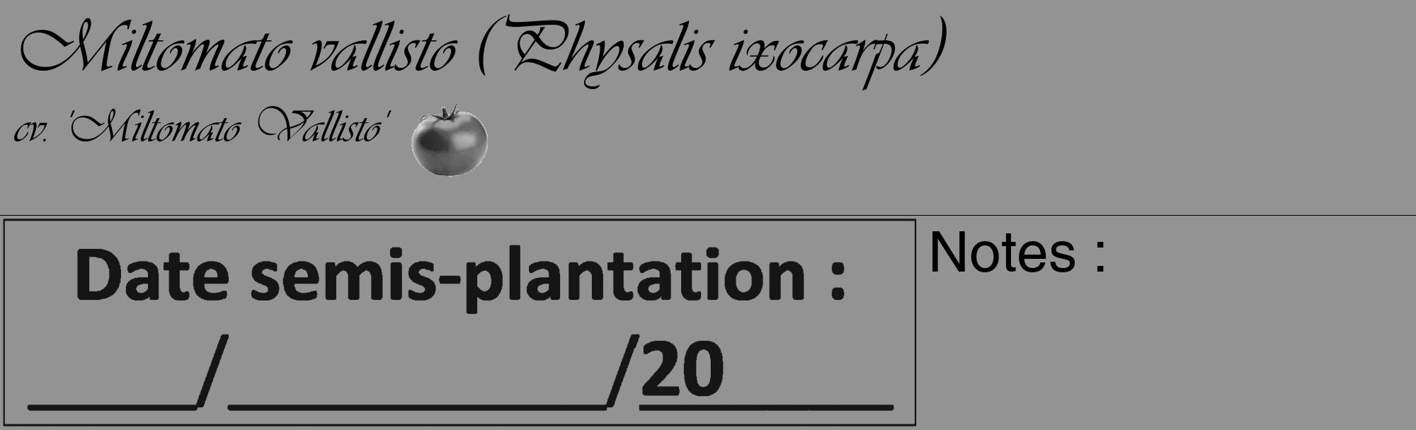 Étiquette de : Physalis ixocarpa cv. 'Miltomato Vallisto' - format c - style noire44_basique_basiqueviv avec comestibilité simplifiée