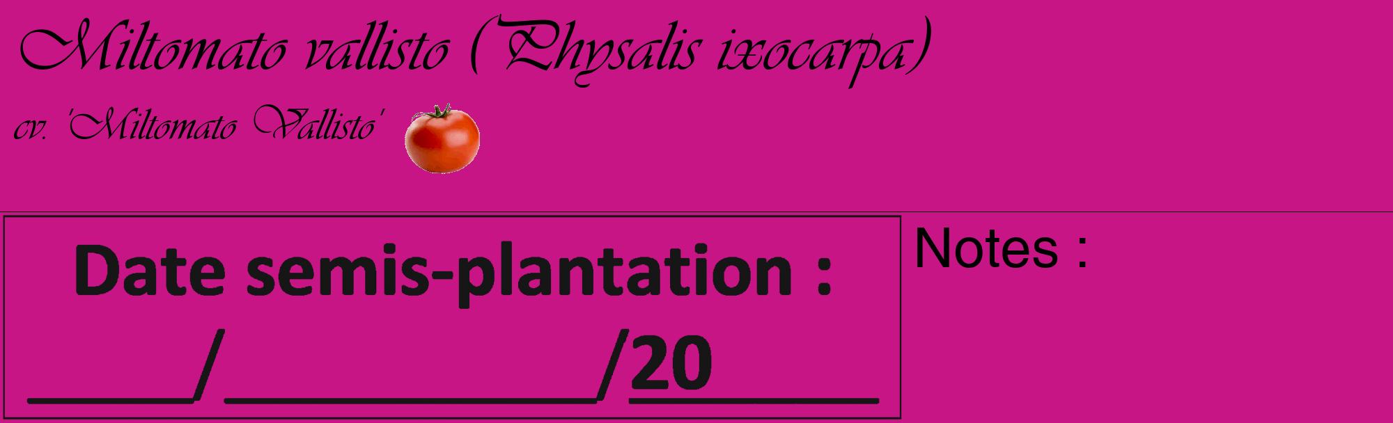 Étiquette de : Physalis ixocarpa cv. 'Miltomato Vallisto' - format c - style noire45_basique_basiqueviv avec comestibilité simplifiée