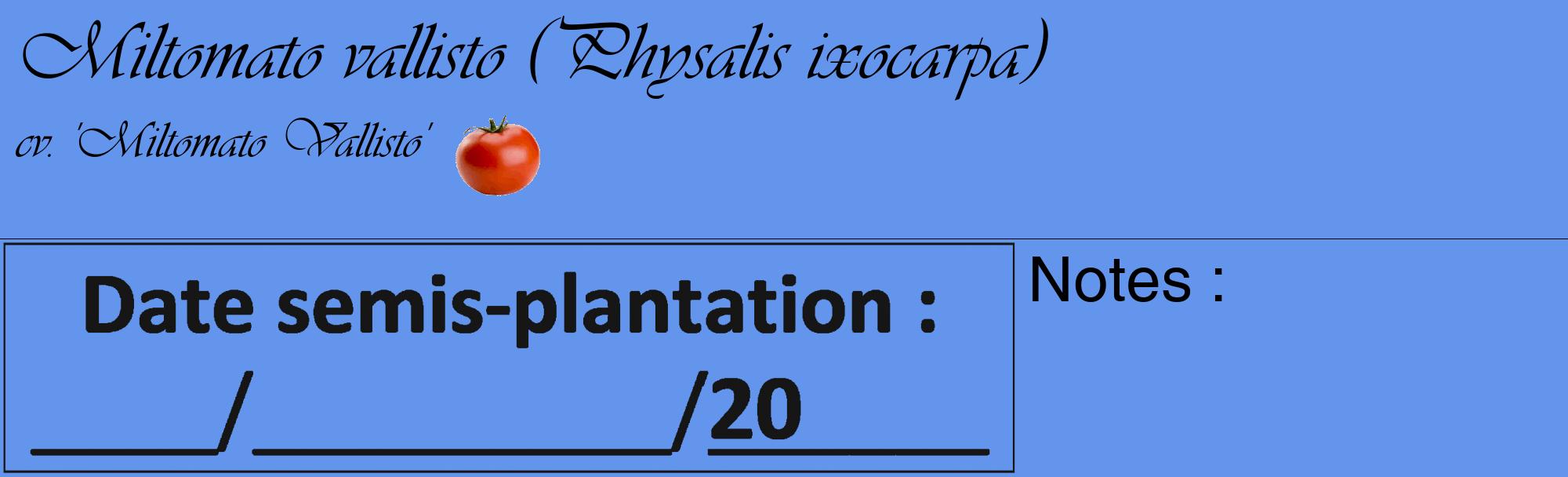 Étiquette de : Physalis ixocarpa cv. 'Miltomato Vallisto' - format c - style noire4_basique_basiqueviv avec comestibilité simplifiée