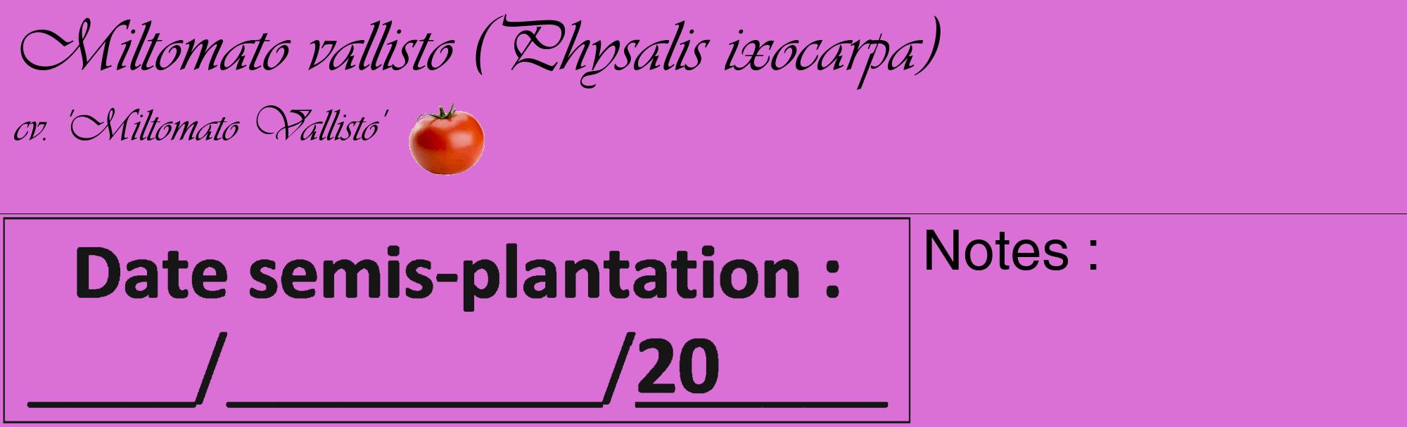 Étiquette de : Physalis ixocarpa cv. 'Miltomato Vallisto' - format c - style noire52_basique_basiqueviv avec comestibilité simplifiée