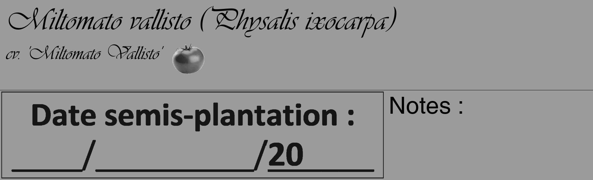 Étiquette de : Physalis ixocarpa cv. 'Miltomato Vallisto' - format c - style noire52_basique_basiqueviv avec comestibilité simplifiée