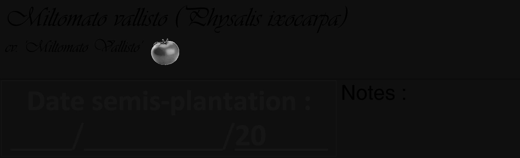 Étiquette de : Physalis ixocarpa cv. 'Miltomato Vallisto' - format c - style noire7_basique_basiqueviv avec comestibilité simplifiée