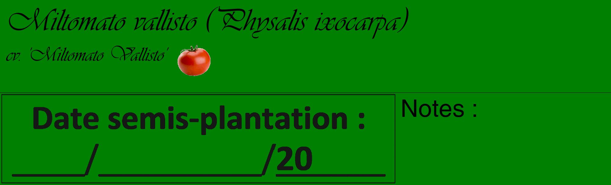 Étiquette de : Physalis ixocarpa cv. 'Miltomato Vallisto' - format c - style noire9_basique_basiqueviv avec comestibilité simplifiée