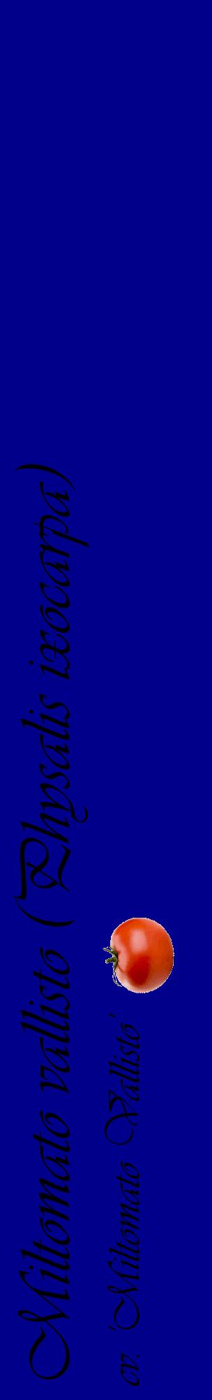 Étiquette de : Physalis ixocarpa cv. 'Miltomato Vallisto' - format c - style noire7_basique_basiqueviv avec comestibilité simplifiée - position verticale