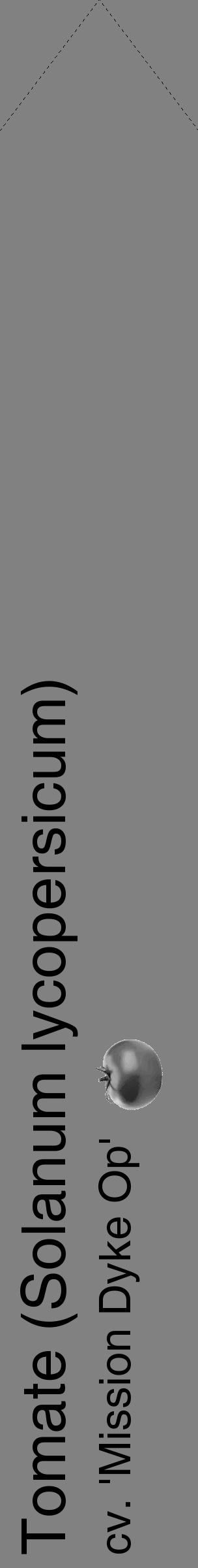 Étiquette de : Solanum lycopersicum cv. 'Mission Dyke Op' - format c - style noire50_simple_simplehel avec comestibilité simplifiée - position verticale