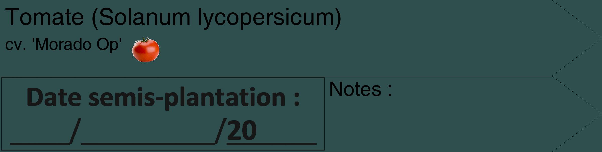 Étiquette de : Solanum lycopersicum cv. 'Morado Op' - format c - style noire58_simple_simplehel avec comestibilité simplifiée