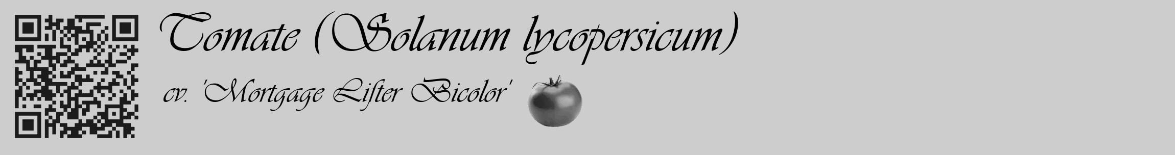 Étiquette de : Solanum lycopersicum cv. 'Mortgage Lifter Bicolor' - format c - style noire41_basique_basiqueviv avec qrcode et comestibilité simplifiée
