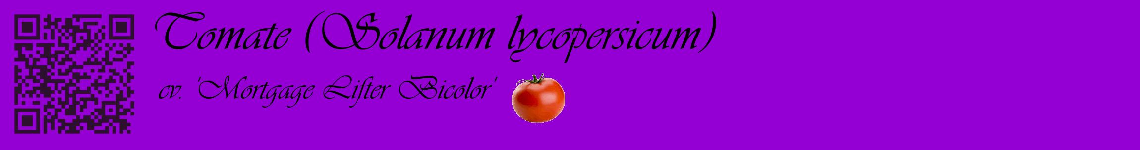 Étiquette de : Solanum lycopersicum cv. 'Mortgage Lifter Bicolor' - format c - style noire48basique_basique_basiqueviv avec qrcode et comestibilité simplifiée