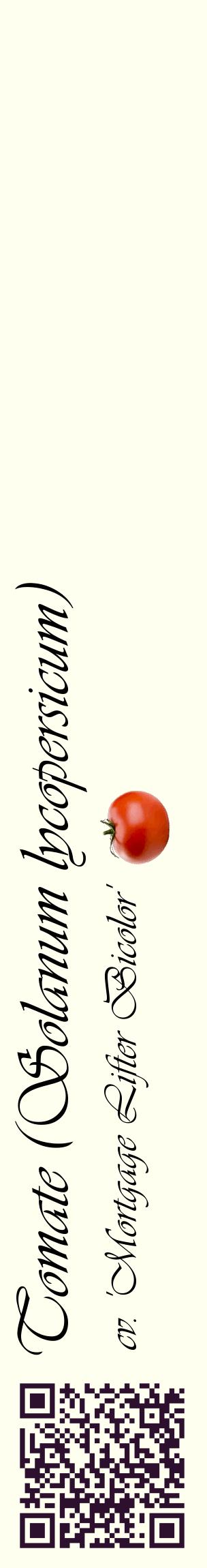 Étiquette de : Solanum lycopersicum cv. 'Mortgage Lifter Bicolor' - format c - style noire19_basiqueviv avec qrcode et comestibilité simplifiée
