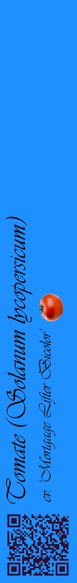 Étiquette de : Solanum lycopersicum cv. 'Mortgage Lifter Bicolor' - format c - style noire3_basiqueviv avec qrcode et comestibilité simplifiée