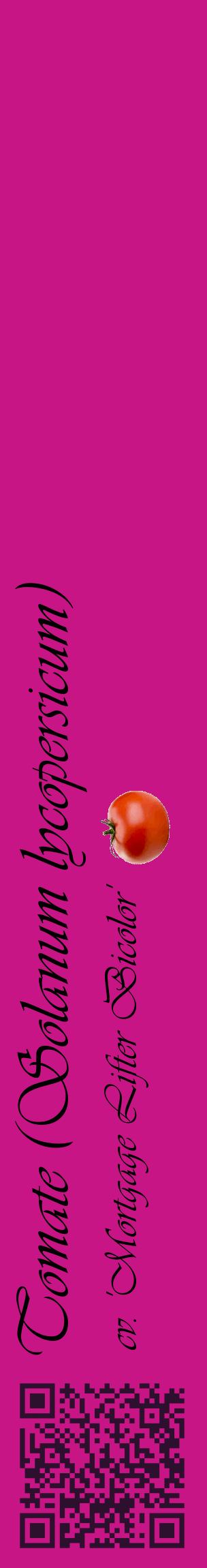 Étiquette de : Solanum lycopersicum cv. 'Mortgage Lifter Bicolor' - format c - style noire45_basiqueviv avec qrcode et comestibilité simplifiée