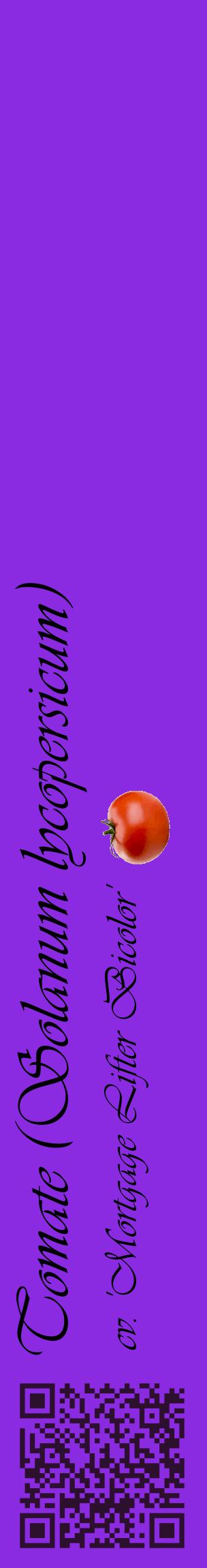 Étiquette de : Solanum lycopersicum cv. 'Mortgage Lifter Bicolor' - format c - style noire49_basiqueviv avec qrcode et comestibilité simplifiée