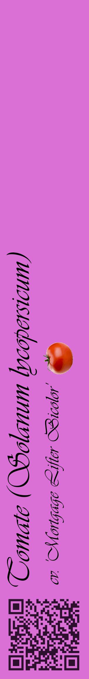Étiquette de : Solanum lycopersicum cv. 'Mortgage Lifter Bicolor' - format c - style noire52_basiqueviv avec qrcode et comestibilité simplifiée