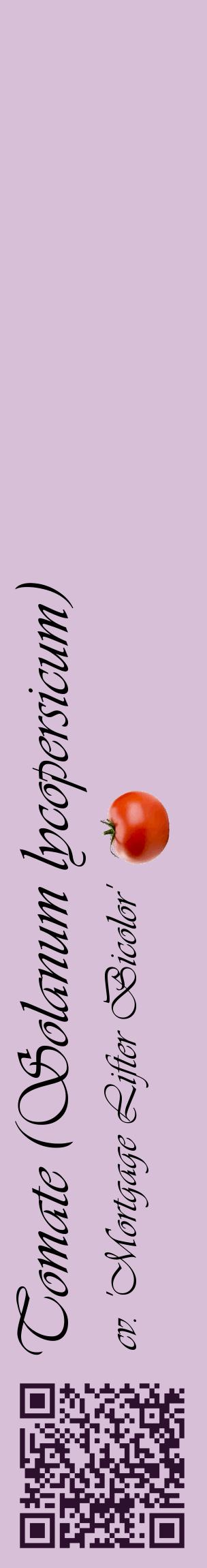 Étiquette de : Solanum lycopersicum cv. 'Mortgage Lifter Bicolor' - format c - style noire54_basiqueviv avec qrcode et comestibilité simplifiée