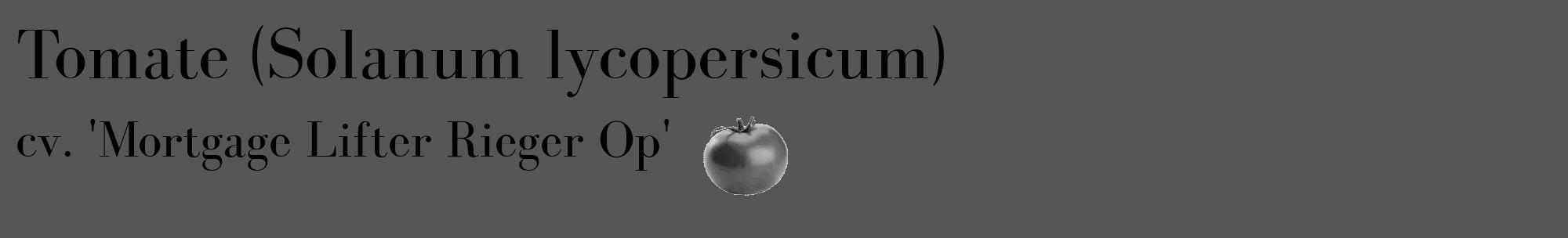 Étiquette de : Solanum lycopersicum cv. 'Mortgage Lifter Rieger Op' - format c - style noire45_basique_basiquebod avec comestibilité simplifiée