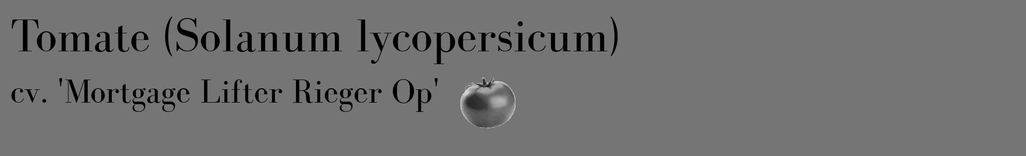 Étiquette de : Solanum lycopersicum cv. 'Mortgage Lifter Rieger Op' - format c - style noire5_basique_basiquebod avec comestibilité simplifiée