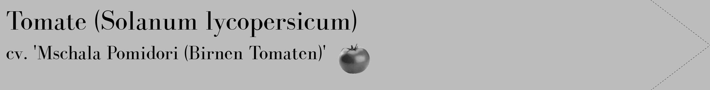 Étiquette de : Solanum lycopersicum cv. 'Mschala Pomidori (Birnen Tomaten)' - format c - style noire1_simple_simplebod avec comestibilité simplifiée