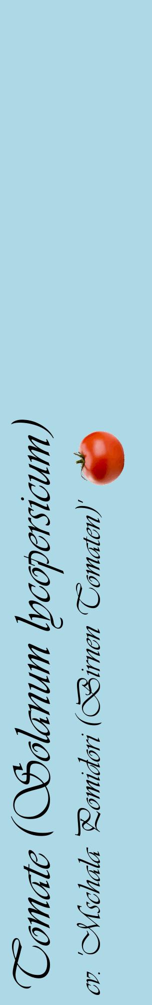 Étiquette de : Solanum lycopersicum cv. 'Mschala Pomidori (Birnen Tomaten)' - format c - style noire0_basiqueviv avec comestibilité simplifiée