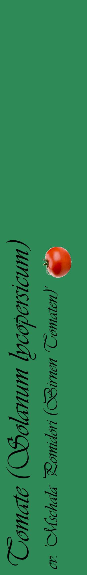 Étiquette de : Solanum lycopersicum cv. 'Mschala Pomidori (Birnen Tomaten)' - format c - style noire11_basiqueviv avec comestibilité simplifiée