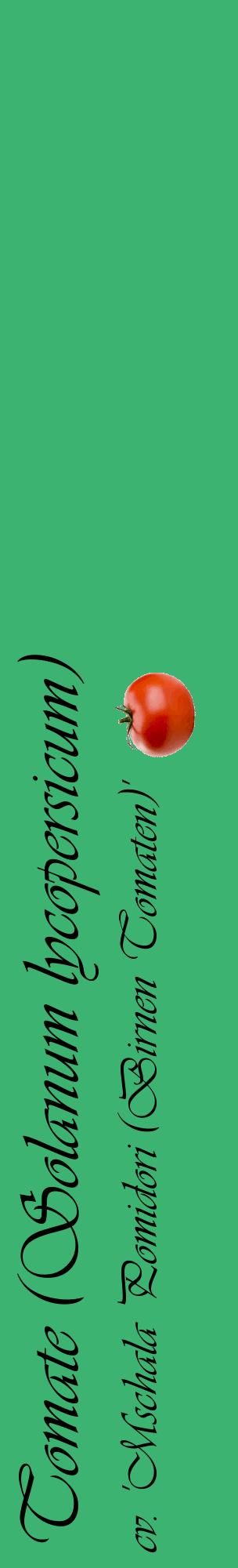 Étiquette de : Solanum lycopersicum cv. 'Mschala Pomidori (Birnen Tomaten)' - format c - style noire12_basiqueviv avec comestibilité simplifiée