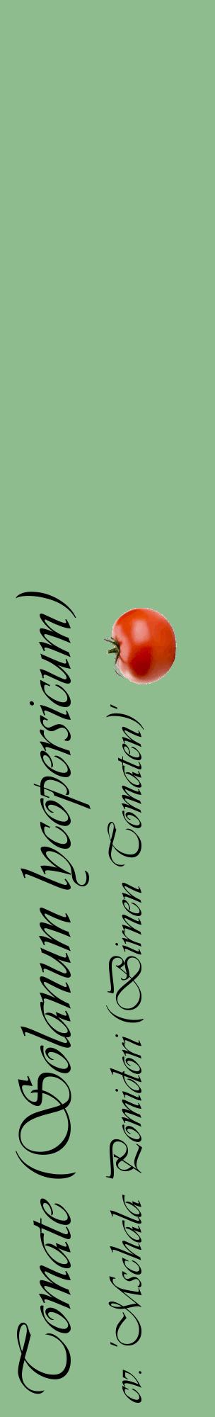 Étiquette de : Solanum lycopersicum cv. 'Mschala Pomidori (Birnen Tomaten)' - format c - style noire13_basiqueviv avec comestibilité simplifiée