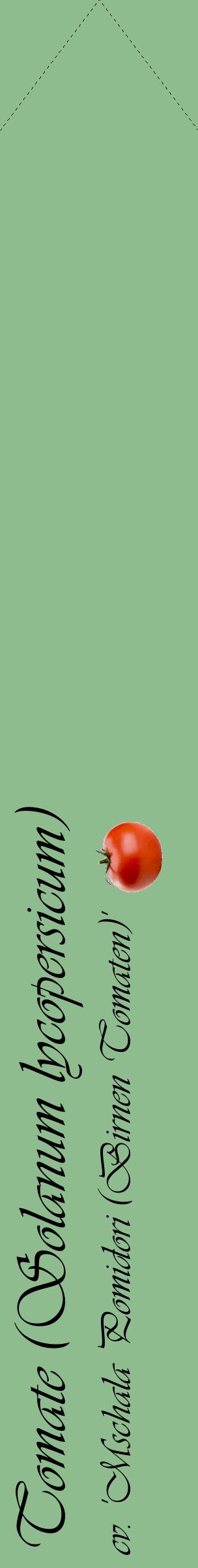 Étiquette de : Solanum lycopersicum cv. 'Mschala Pomidori (Birnen Tomaten)' - format c - style noire13_simpleviv avec comestibilité simplifiée