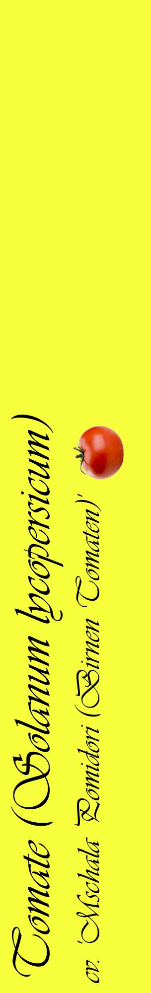 Étiquette de : Solanum lycopersicum cv. 'Mschala Pomidori (Birnen Tomaten)' - format c - style noire18_basiqueviv avec comestibilité simplifiée