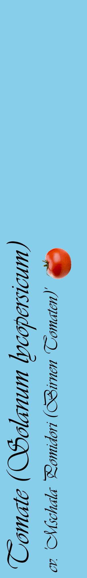 Étiquette de : Solanum lycopersicum cv. 'Mschala Pomidori (Birnen Tomaten)' - format c - style noire1_basiqueviv avec comestibilité simplifiée