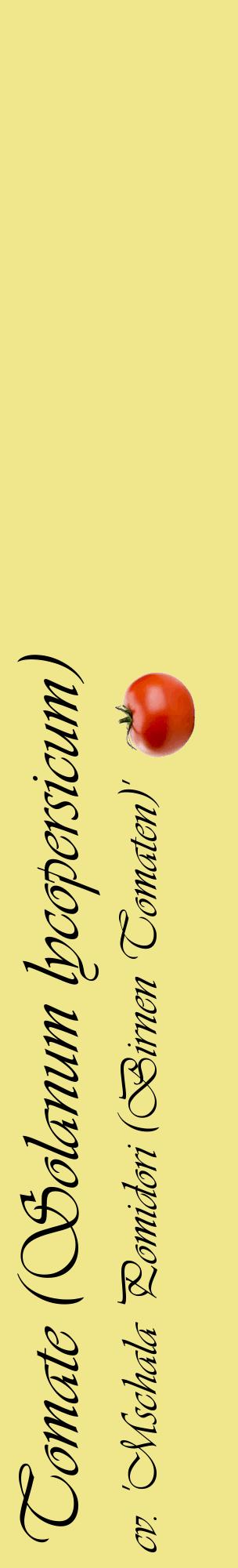 Étiquette de : Solanum lycopersicum cv. 'Mschala Pomidori (Birnen Tomaten)' - format c - style noire20_basiqueviv avec comestibilité simplifiée