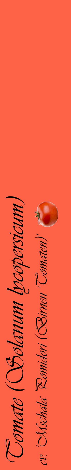 Étiquette de : Solanum lycopersicum cv. 'Mschala Pomidori (Birnen Tomaten)' - format c - style noire25_basiqueviv avec comestibilité simplifiée